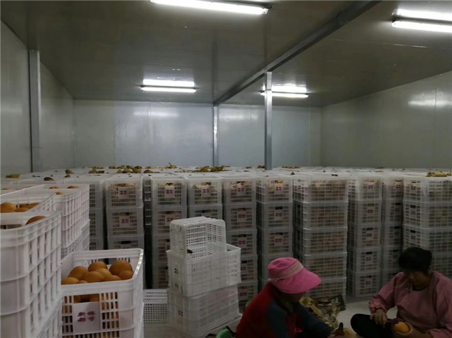 食品冷庫溫度范圍和冷庫的特性