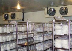 禽、魚、畜等動(dòng)物性食品必須冷凍冷藏的原因
