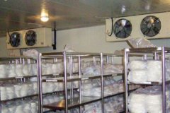 冷庫安裝解讀食品保鮮冷庫的建造