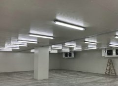 建一個1000平米蔬菜恒溫庫成本多少錢