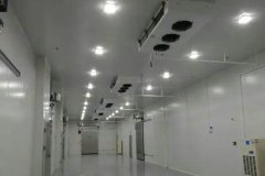 杭州冷庫安裝公司 杭州保鮮庫冷凍庫建造