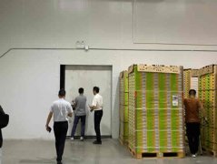 儲存水果的冷庫溫度一般設(shè)定多少？