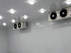 紹興建造冷庫多少錢？紹興小型果蔬冷庫建造造價預算
